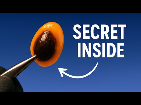 Papaya Seed Mystery: The Protective Jelly Coat