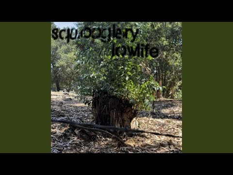 Improvised Drum/Synth Loop (take 2)