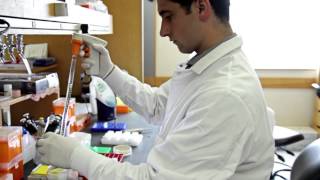 Lutchen Fellow Thomas Lozanoski: Engineering Logic Computation in Cells