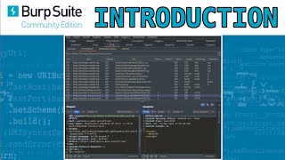 Introduction to Burp Suite (for beginners)