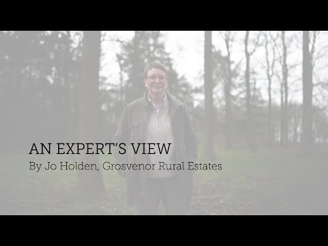 An Expert's View | Jo Holden | Grosvenor Rural Estates | Transforming the World to Sustainability