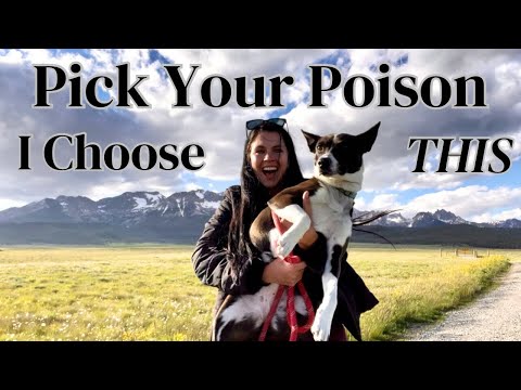 Power PROBLEMS in Paradise | LIVING in a CAR in IDAHO 🖤