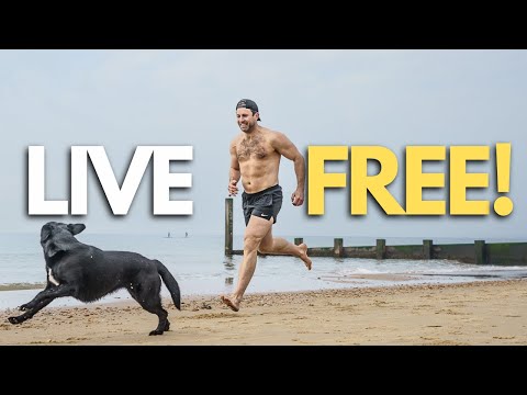 Change Your Life With One Idea