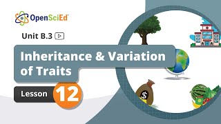 Unit B.3 Lesson 12 Planning Video | OpenSciEd On-Demand Resources