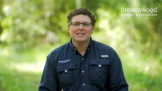 Brownswood Nursery - Landscape Design Consultation