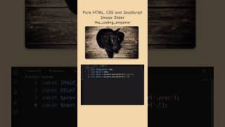 Pure HTML, CSS and JavaScript image slider #webdevelopment #coding #css #html #javascript