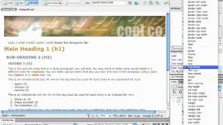 30.Creating.a.CSS.Style.Guide(Editing preexisting rules).mov