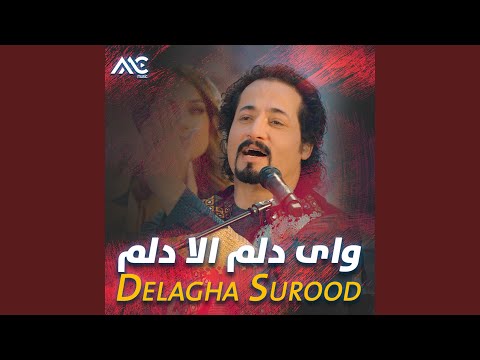 Wai Delam Alla Delam (LIVE)