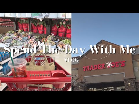 Spend the day with me // VLOG , target haul, Trader Joe’s haul , talks