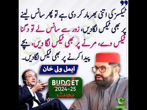 Pakistan Budget 2024-25