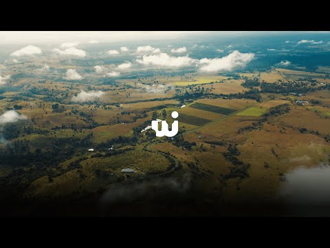 Willseye Showreel