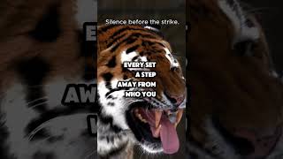 "Train Like a Tiger – Silent. Focused. Deadly."