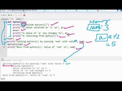 Passing Mutable and Immutable Type Values to a Function