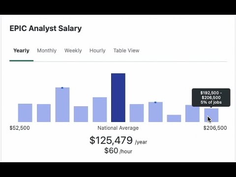 What is an Epic Analyst?