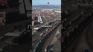 Quantum Computers: The Future of Tech Explained!