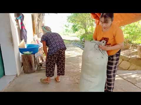 Preparing My Garden for a Fresh Season. Vlog 8