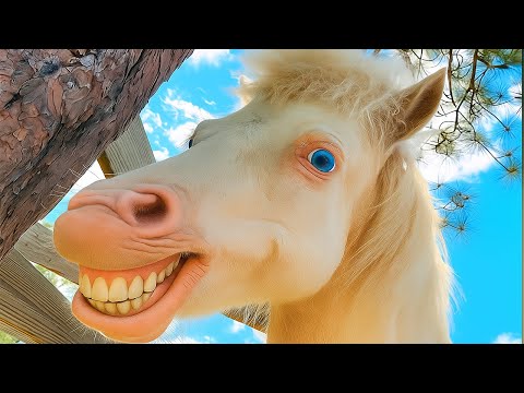 Funniest Animal Videos 😆 Most Dramatic Pets of 2025