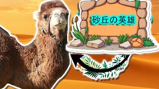 ドロメダリー  | 動物ドキュメンタリー