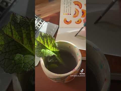 5 minutes art #painting #watercolor #akwarele #artist #illustration #sketch #watercolorpainting