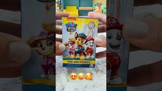 Paw Patrol Toy Surprise #asmr #unboxingtoys #toyvideos #relaxing