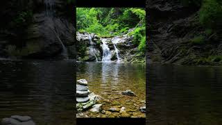 Gentle Water Sounds 🌊🎧 | Short Relaxation Clip