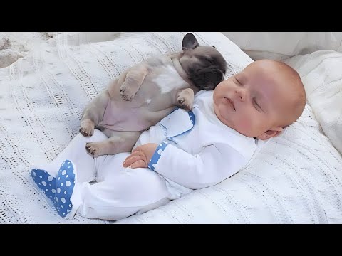 Funny Baby Moments 😂 Try Not to Laugh at These Babies 🤣 BEST OF THE WEEK - Part 56