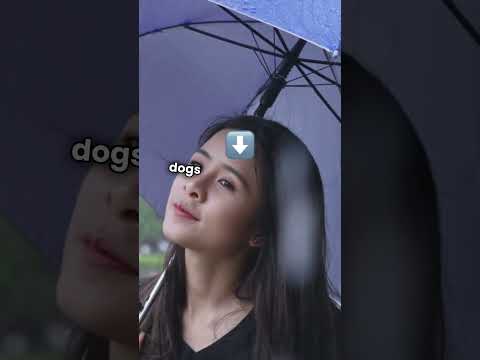 it's raining cats and dogs history origin