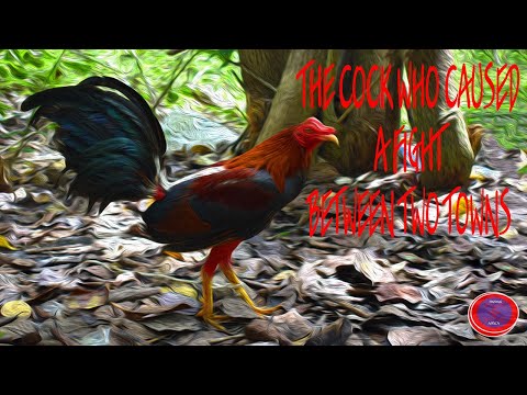 The Cock Who Caused A Fight Between Two Towns
