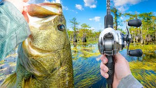 Fishing A Mysterious Swamp For TROPHY Bass (Unknown Waters)