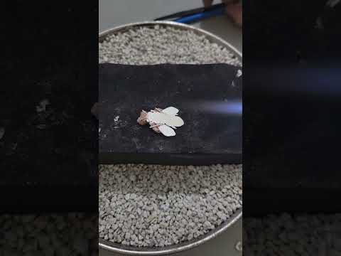 I really adore creating custom jewelry pieces 😍🐝 What do you think? DM for customs and Follow for i