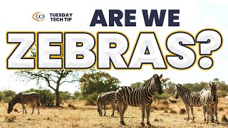 What Makes Colorado Computer Support Different Over All Other Managed Service Providers In Colorado