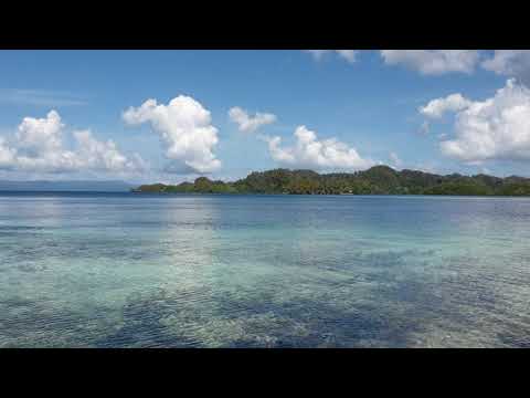 Papuan paradise