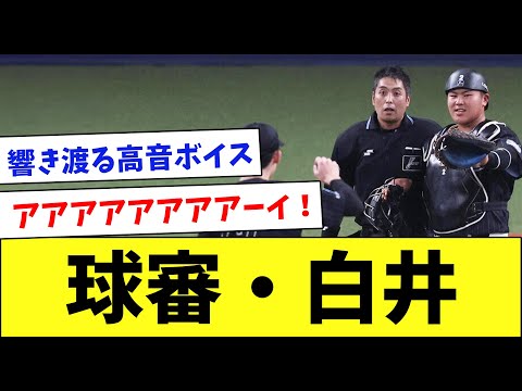 【爆笑】日本一有名な審判・白井一行をまとめてみた…www