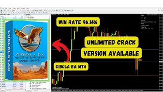 Cibola EA MT4 v1.9 | Best Forex Expert Advisor 2025 | Get Now