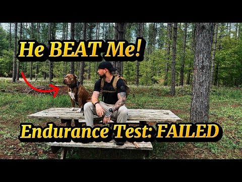 5KM Dog vs Human Showdown – Fitness Friday Edition