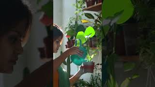 Essential Tools Every Gardener Should Own #shorts #gardentool