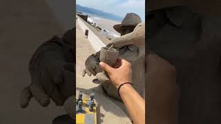 sand man #funny #youtubeshorts #shorts