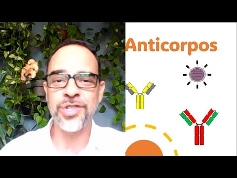 Mini Vídeo: Anticorpos
