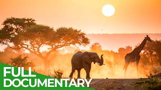 Wonders Of Africa: What A Difference A Day Makes | Free Documentary Nature