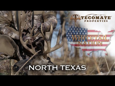2020 Mark goes to North Texas