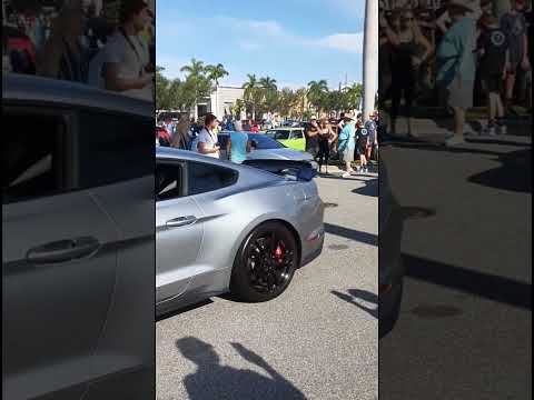 Mustang Week PT.2