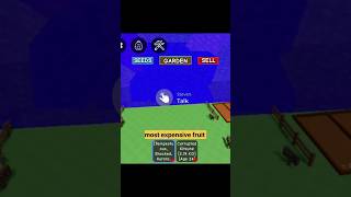 this the expensive fruit of grow a garden?🤑 #growagarden #roblox #robloxhighlights #shortsfeed