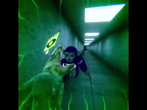 Scary Baboon monster POV