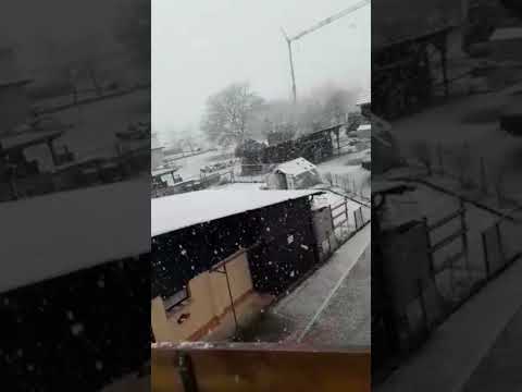 Snowfall#Germany             #Snow#Cold