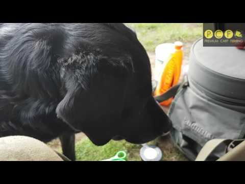Marks Carping Diary- Episode 3- Teakettle Fisheries, Premium Carp Fishing.