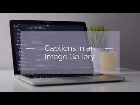 Adding Captions to Your Image Gallery with HTML & CSS