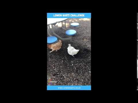 Lowen Harts - Dig a Hole Challenge