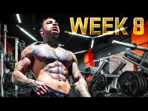 Week 8 Update On My Gear Journey !