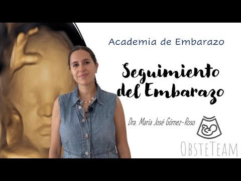SEGUIMIENTO DEL EMBARAZO. Nuestra Propuesta