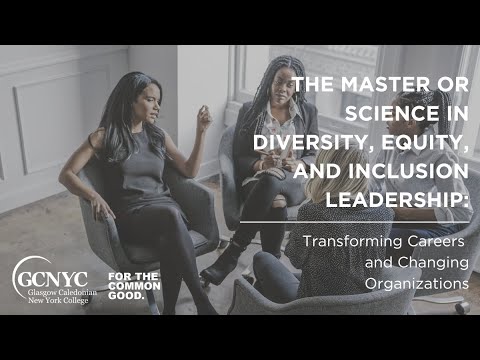 Foundations for DEI Leadership Open Class with Dr  Rohini Anand